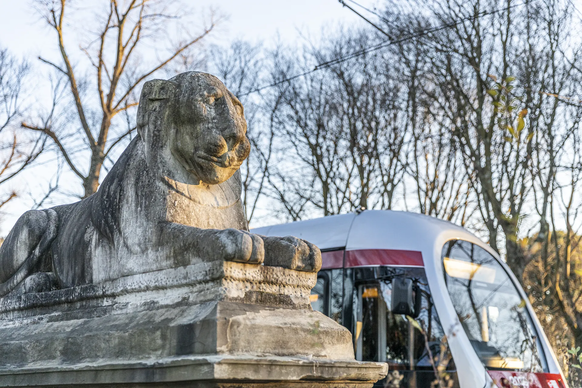 Manifattura Tabacchi - Transports